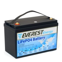 АКБ Everest Energy 24V50А